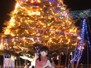 2011_1223_215355AAa.jpg