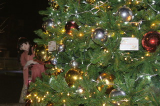 2011_1223_225648AAa.jpg