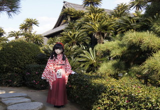 2012_0117_140406AAa.jpg