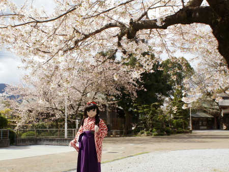 2012_0407_091745AAa.jpg