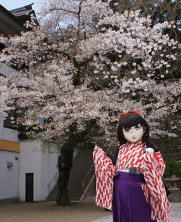 2012_0407_110132AAa.jpg