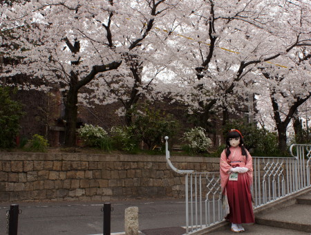 2012_0410_123932AAa.jpg