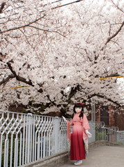 2012_0410_124703AAa.jpg