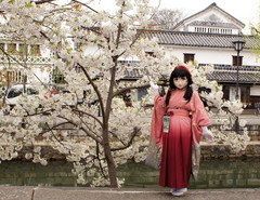 2012_0410_130206AAa.jpg