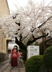 2012_0410_134018AAa.jpg