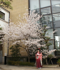 2012_0410_135438AAa.jpg