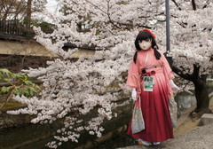 2012_0410_140324AAa.jpg