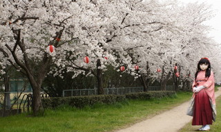 2012_0410_155912AAa.jpg
