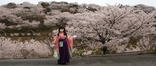 2012_0413_110232AAa.jpg