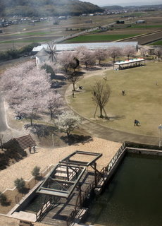 2012_0414_123718AAa.jpg