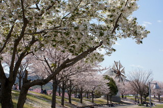 2012_0414_130614AAa.jpg