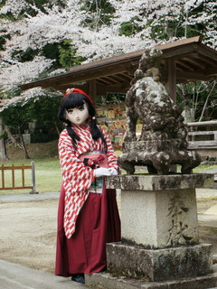2012_0417_141556AAa.jpg
