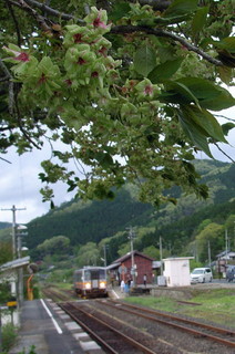 2012_0503_161116AAa.jpg
