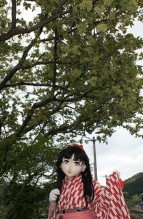 2012_0503_173738AAa.jpg