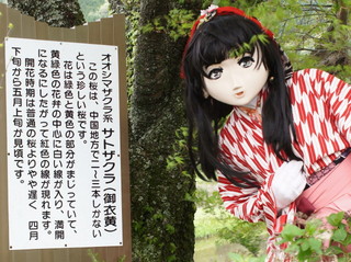 2012_0503_174032AAa.jpg