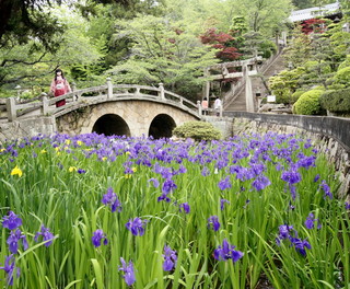 2012_0514_115204AAa.jpg
