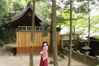 2012_0514_123858AAa.jpg