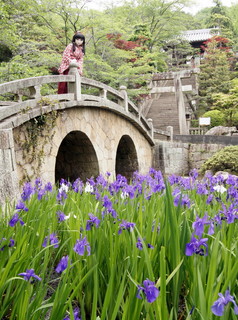 2012_0514_130450AAa.jpg