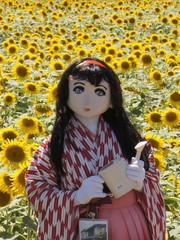 2012_0815_132444AAa.jpg