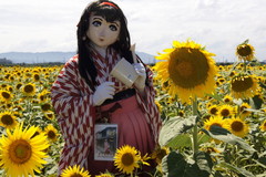2012_0815_135106AAa.jpg
