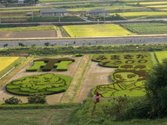 2012_0830_164216AAa.jpg