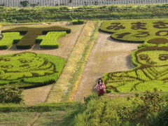2012_0830_164336AAa.jpg