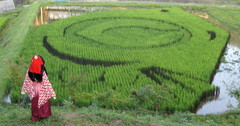 2012_0830_175914AAa.jpg