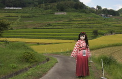 2012_0906_140610AAa.jpg