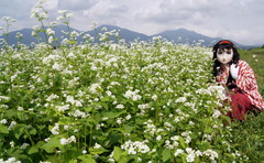 2012_0907_124112AAa.jpg