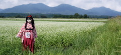 2012_0907_125112AAa.jpg