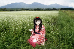 2012_0907_130550AAa.jpg
