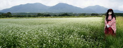 2012_0907_130644AAa.jpg