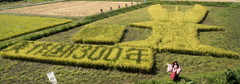 2012_0925_132508AAa.jpg