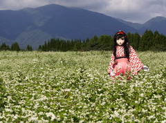 2012_0925_141328AAa.jpg