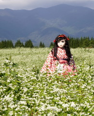 2012_0925_141442AAa.jpg