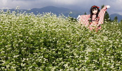 2012_0925_143102AAa.jpg