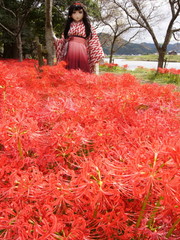 2012_1001_131141AAa.jpg