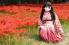 2012_1001_132206AAa.jpg