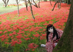 2012_1001_132728AAa.jpg