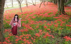 2012_1001_133108AAa.jpg