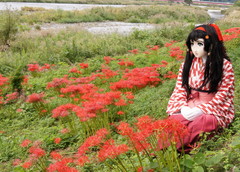 2012_1001_133834AAa.jpg