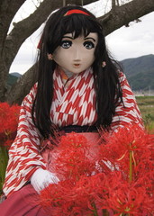 2012_1001_134900AAa.jpg