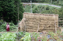 2012_1001_164916AAa.jpg