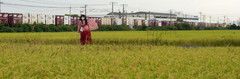 2012_1006_090500AEa.jpg