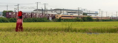2012_1006_090504ACa.jpg