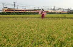 2012_1006_090506AAa.jpg