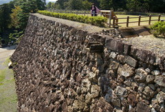 2012_1007_112118AAa.jpg