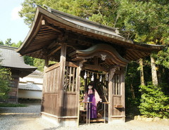 2012_1007_152800AAa.jpg