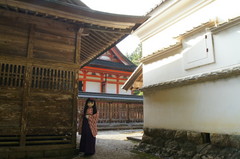 2012_1007_153048AAa.jpg