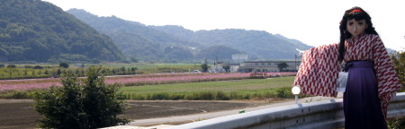 2012_1010_124654AAa.jpg